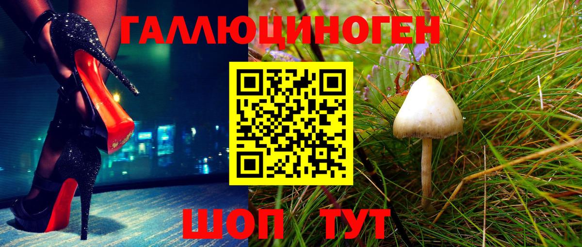 Псилоцибиновые грибы Cubensis Краснокаменск