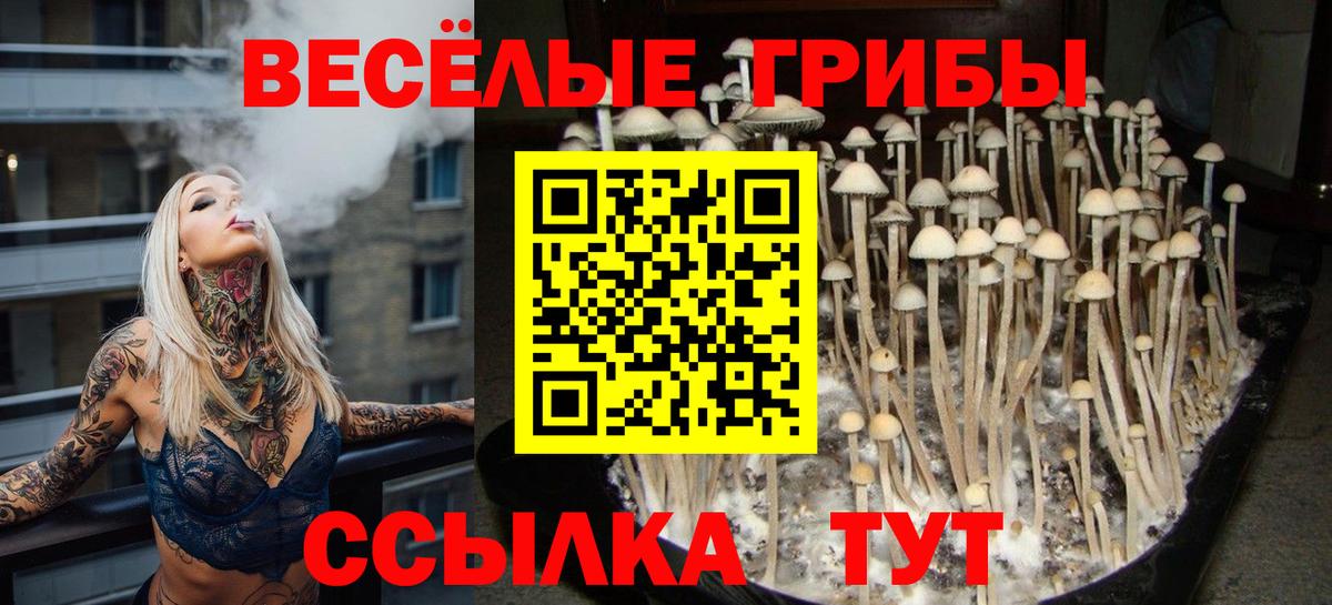 Псилоцибиновые грибы Psilocybine cubensis  Вход с VPN  Краснокаменск 
